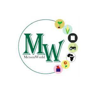Metson World - Logo